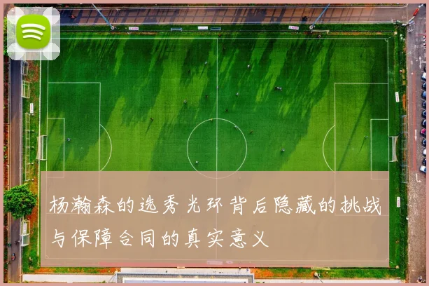 杨瀚森的选秀光环背后隐藏的挑战与保障合同的真实意义